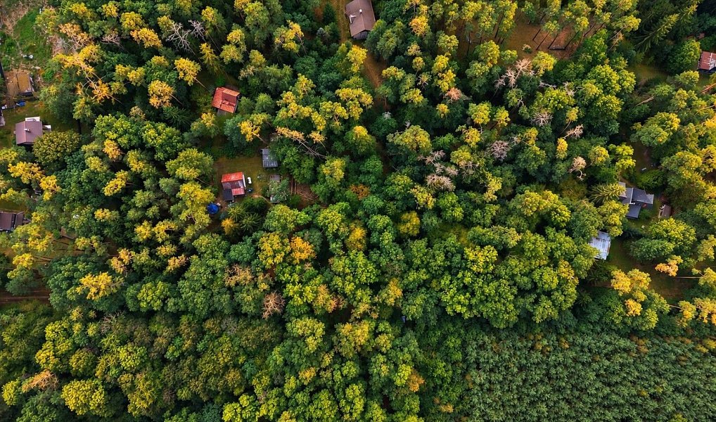 Prodej stavebního pozemku 4 383 m², Hradištko – náhled fotky 16