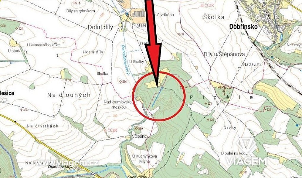 Prodej lesa 2 317 m², Rybníky – náhled fotky 4