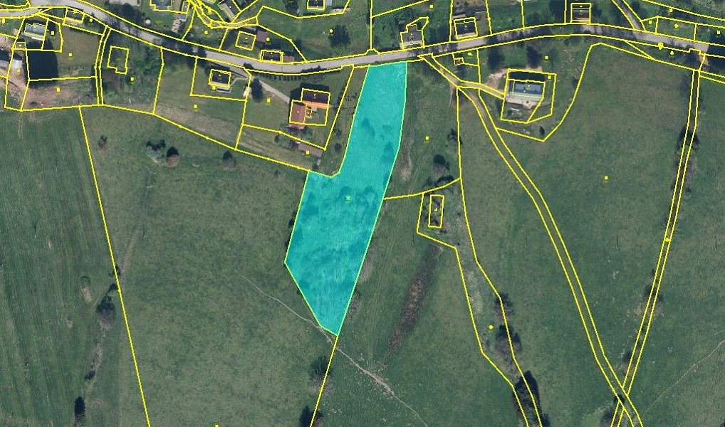 Prodej stavebního pozemku 7 647 m², Bartošovice v Orlických horách – náhled fotky 4