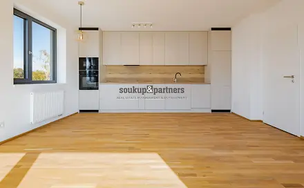 Pronájem bytu 2+kk 58 m²