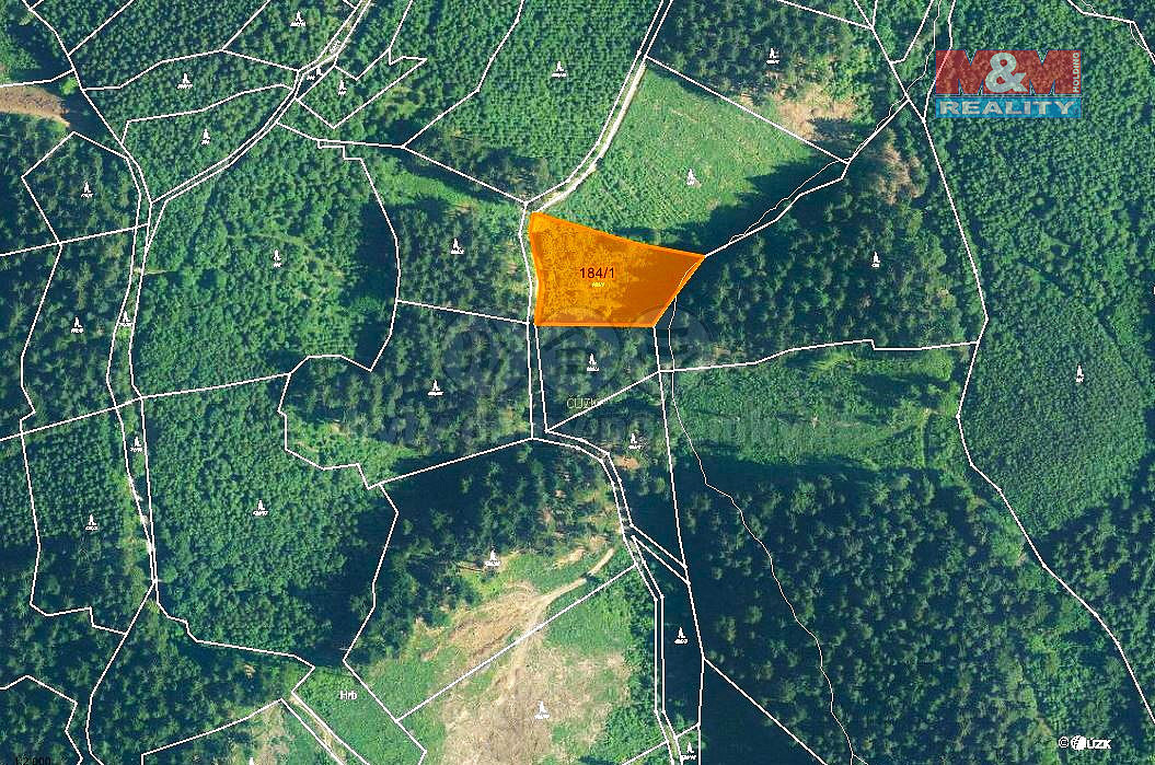 Prodej lesa 2 930 m² — photo 4