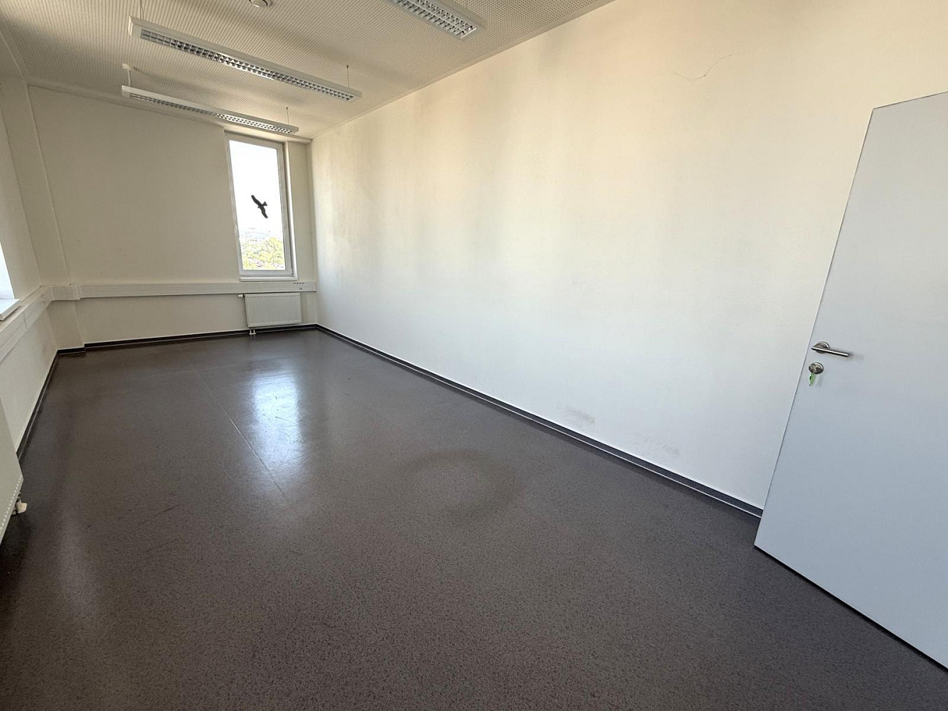 Pronájem kanceláře 23 m² — photo 2