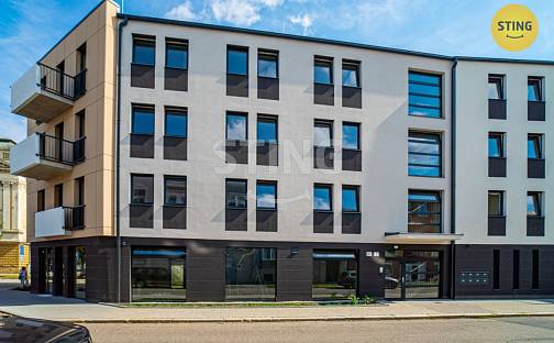 Prodej bytu 3+kk 119 m², Mlýnská, Prostějov