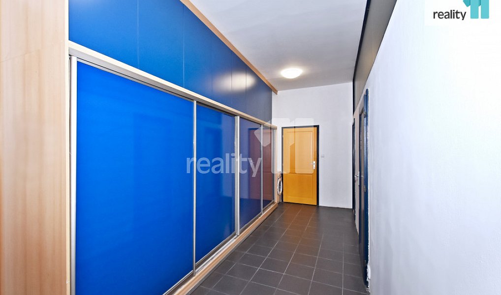 Pronájem bytu 5+kk 105 m², Praha – náhled fotky 19