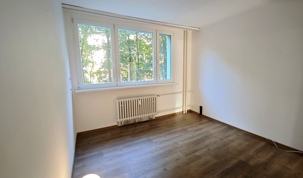 Prodej bytu 2+1 53 m², Brno – náhled fotky 9