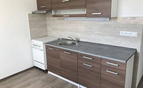 Pronájem bytu 1+1 43 m², Celní, Karlovy Vary - Rybáře