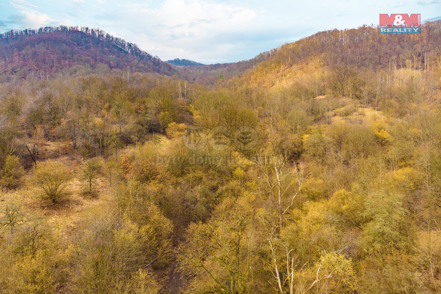 Prodej pozemku 3 600 m² — photo 3