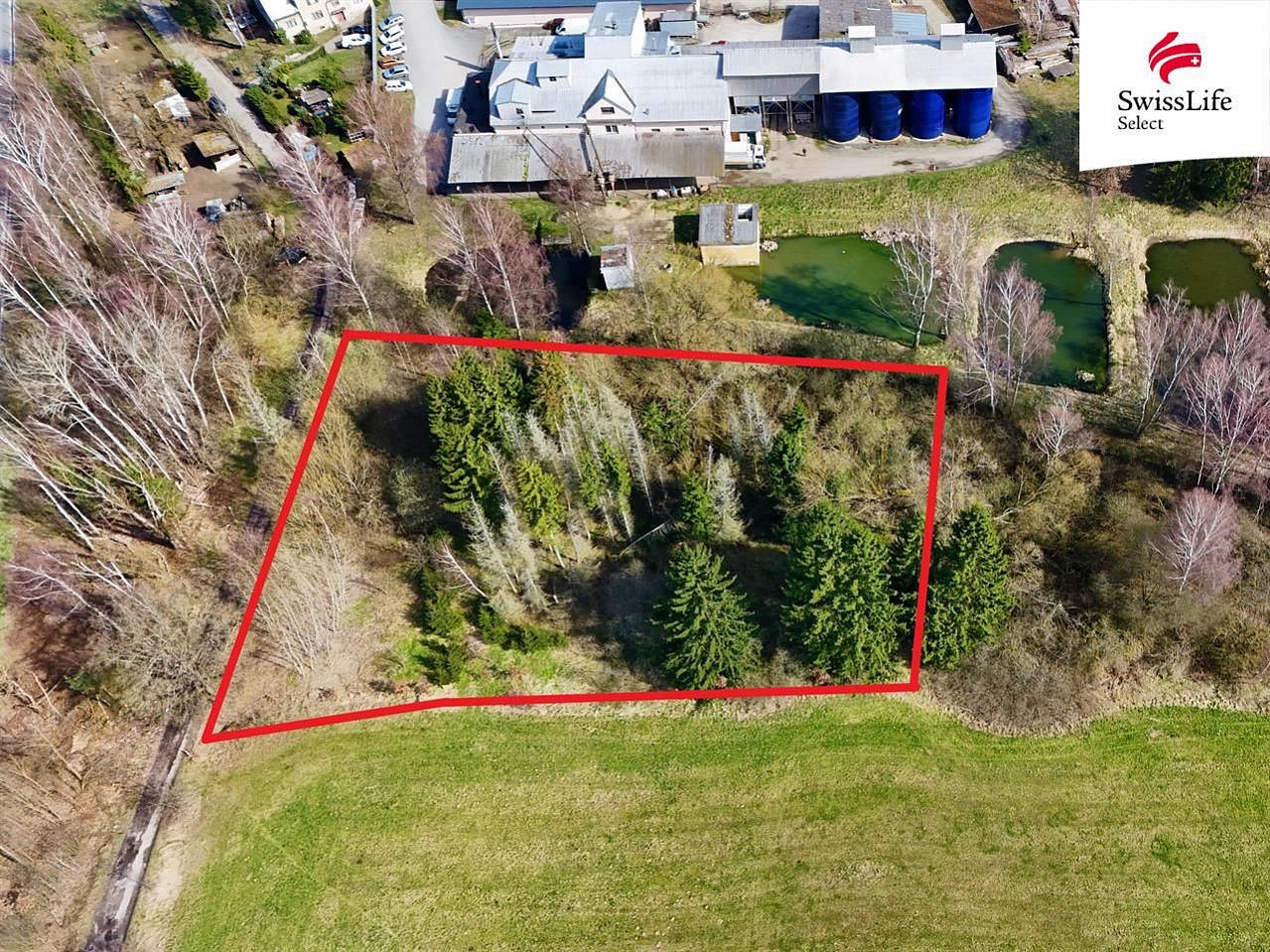Prodej lesa 4 442 m² – fotografie 4