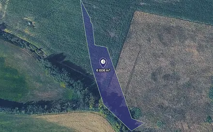 Prodej pole 6 006 m², Třemošná, okres Plzeň-sever