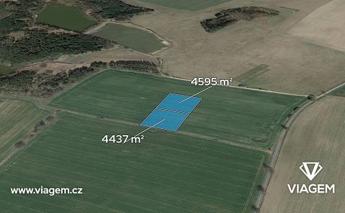 Prodej pole 967 m², Drahov, okres Tábor