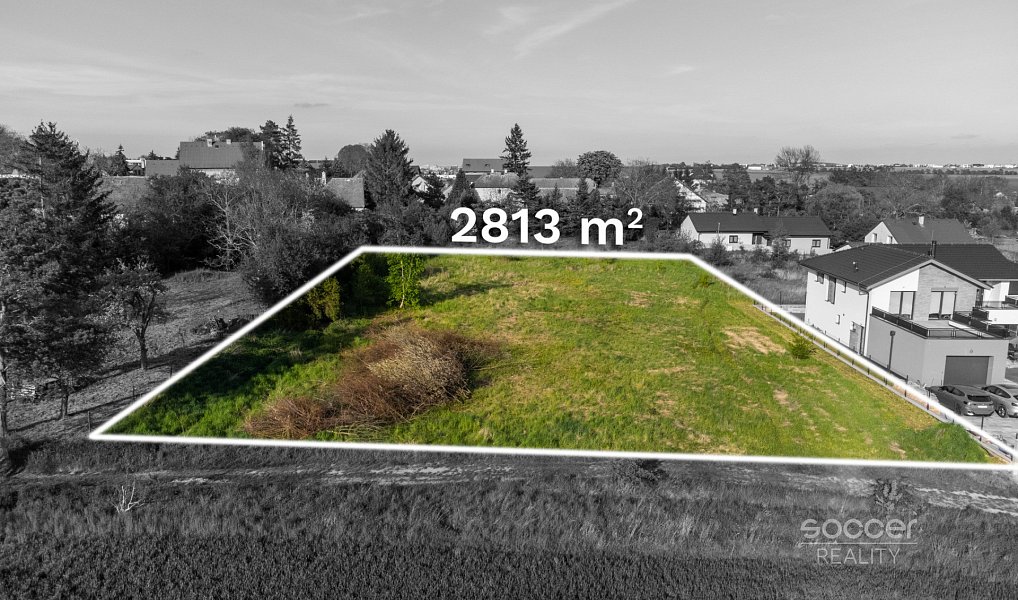 Prodej stavebního pozemku 2 813 m², Dobříč – náhled fotky 2