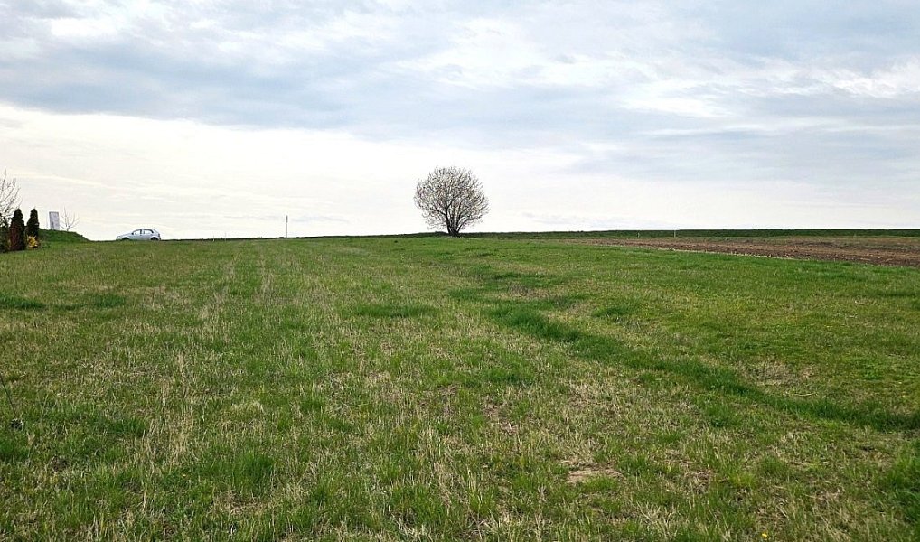 Prodej stavebního pozemku 1 606 m², Borkovany – náhled fotky 6