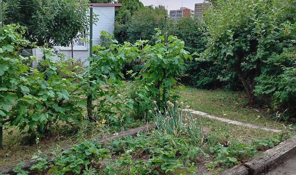 Prodej domu 20 m² s pozemkem 180 m², Kladno – náhled fotky 6