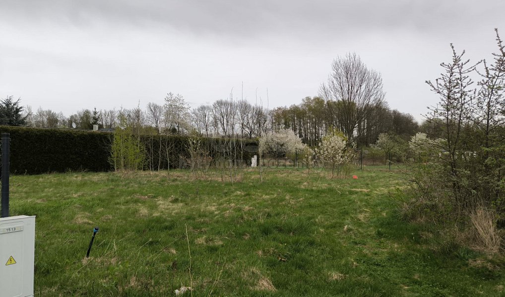 Prodej stavebního pozemku 875 m², Ostrov – náhled fotky 5