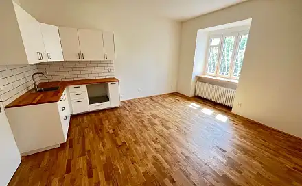 Prodej bytu 1+kk 30 m²
