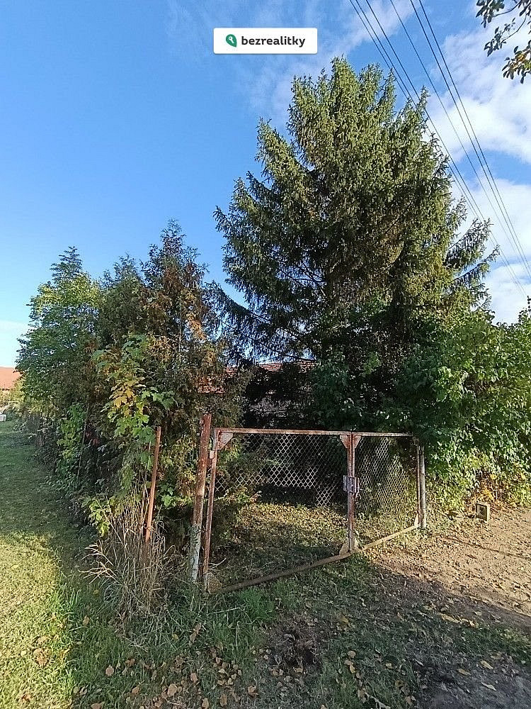 Fotka 13 z 16