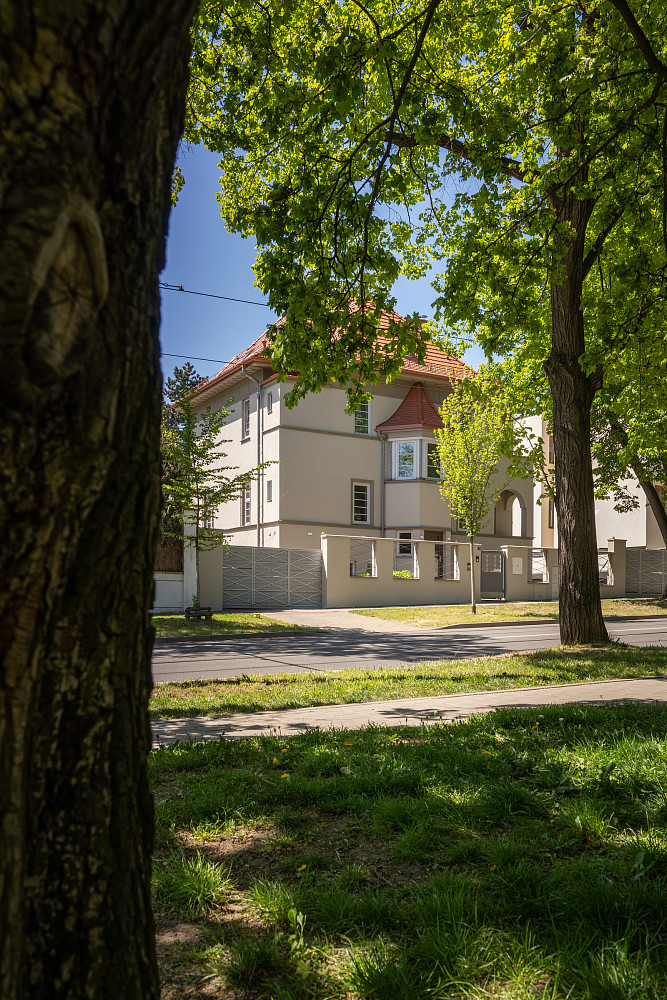 Prodej vily 400 m² s pozemkem 994 m² — photo 5