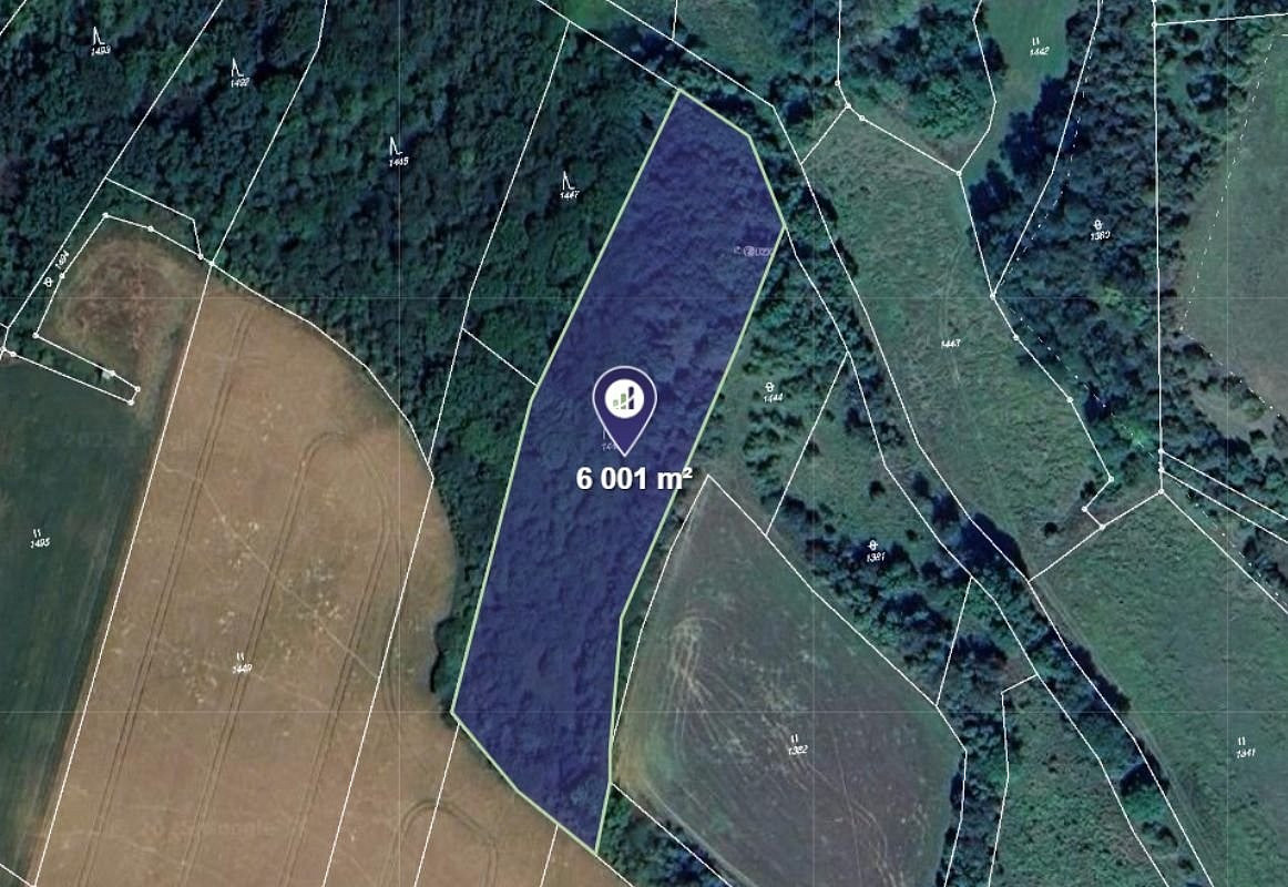 Prodej lesa 6 001 m²