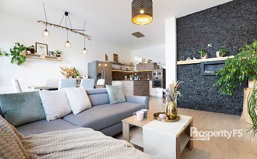 Prodej domu 132 m² s pozemkem 219 m², V. Poláka, Stehelčeves, okres Kladno