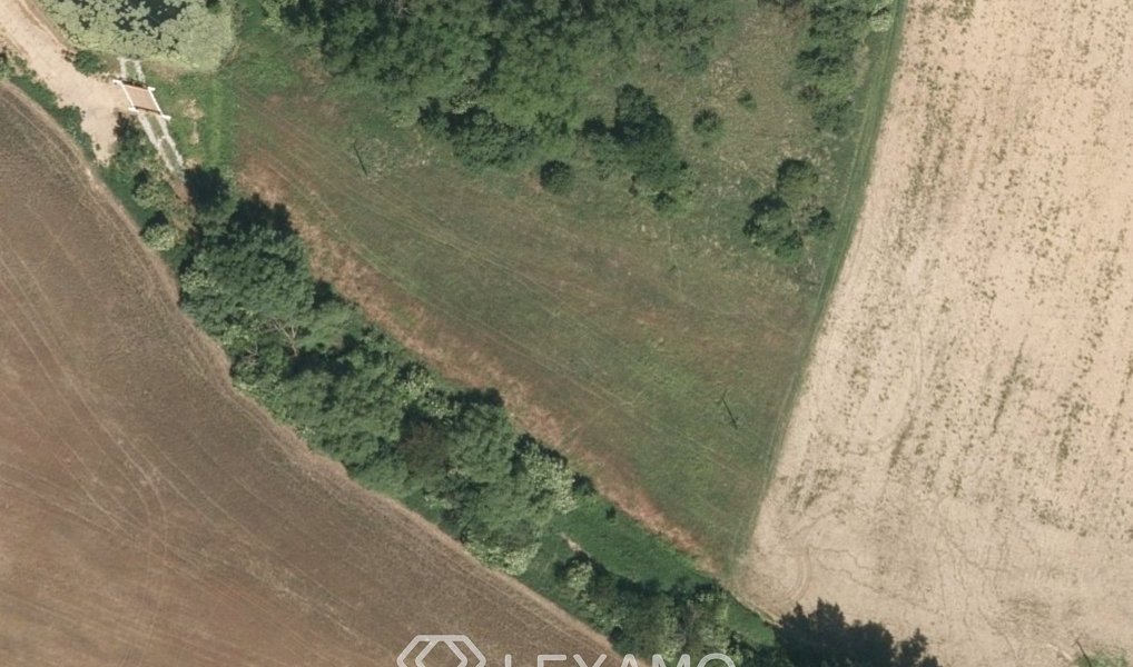 Prodej pole 3 575 m², Běhařovice – náhled fotky 4