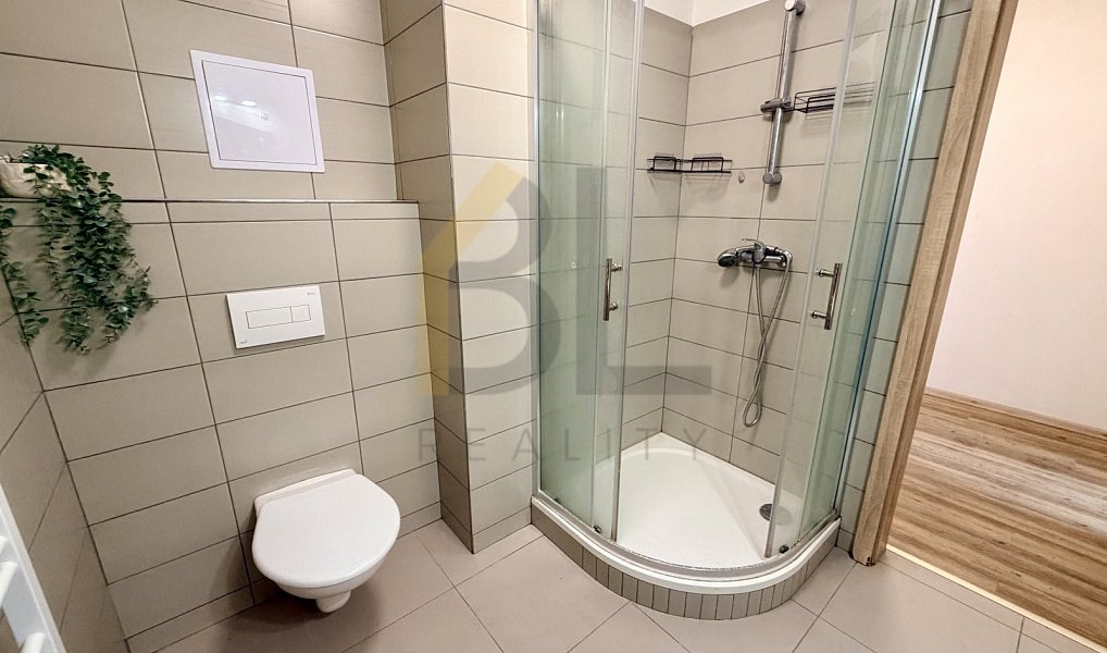 Pronájem bytu 1+kk 28 m², Rohatec – náhled fotky 4