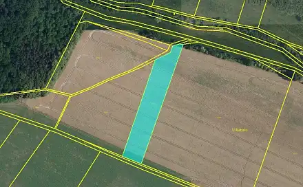 Prodej pole 11 781 m², Dětenice - Brodek, okres Jičín