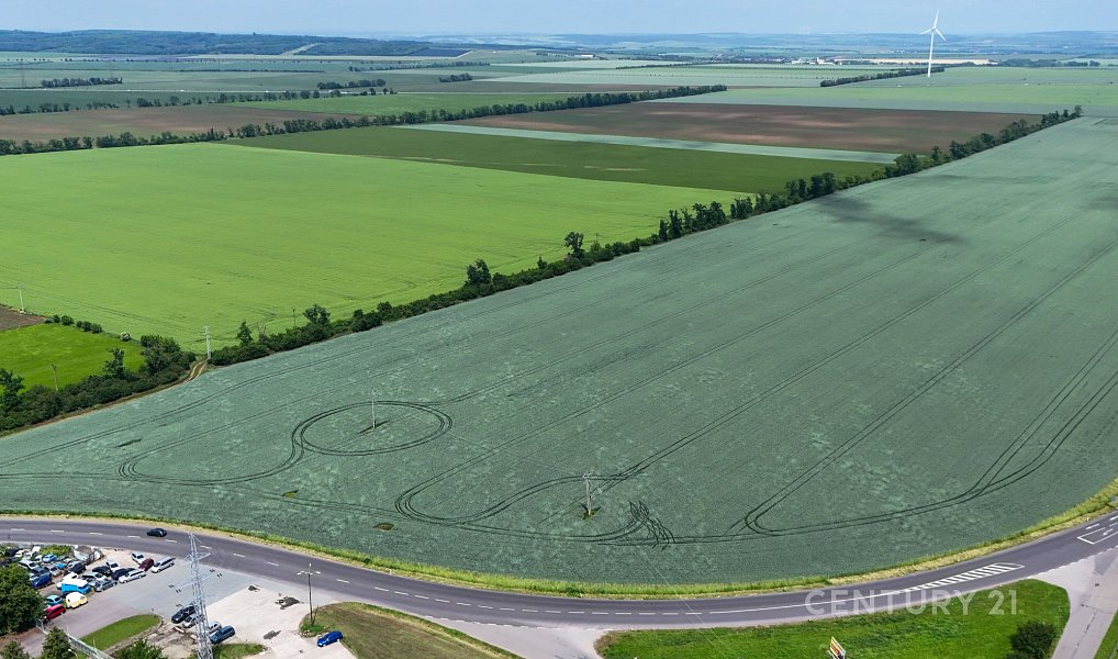 Prodej stavebního pozemku 11 300 m², Tasovice – náhled fotky 4