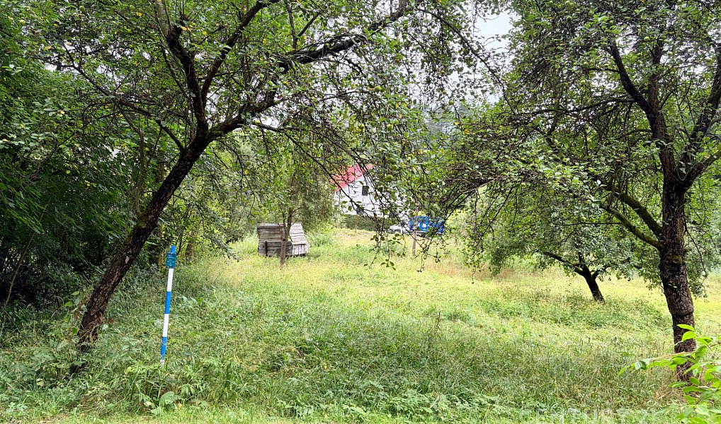 Prodej domu 56 m² s pozemkem 1 096 m², Český Dub – náhled fotky 3