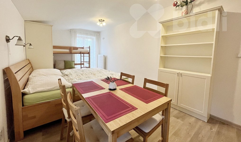Pronájem bytu 1+kk 25 m², Trhové Sviny – náhled fotky 2