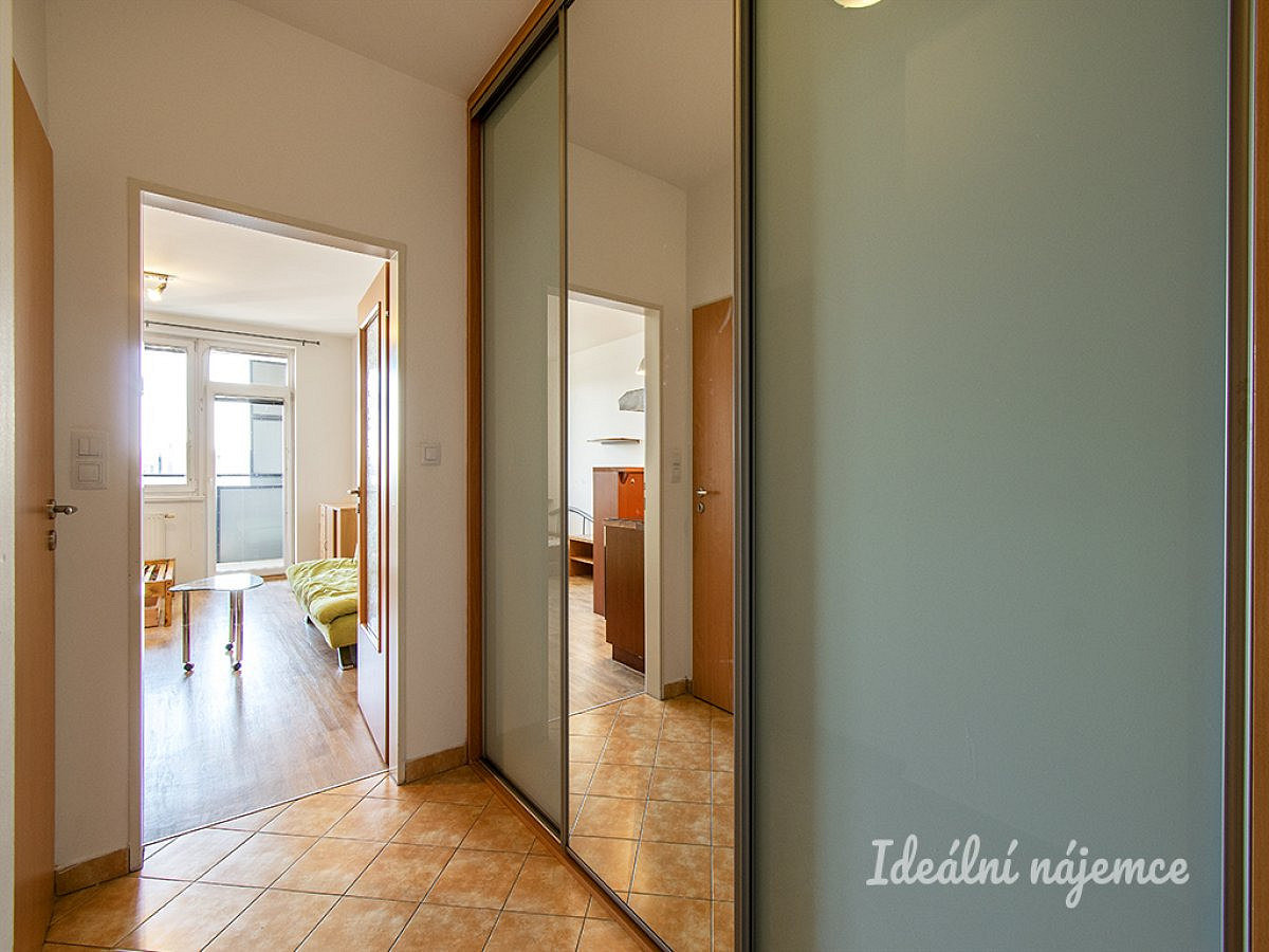 Pronájem bytu 1+kk 30 m² – pohled 6