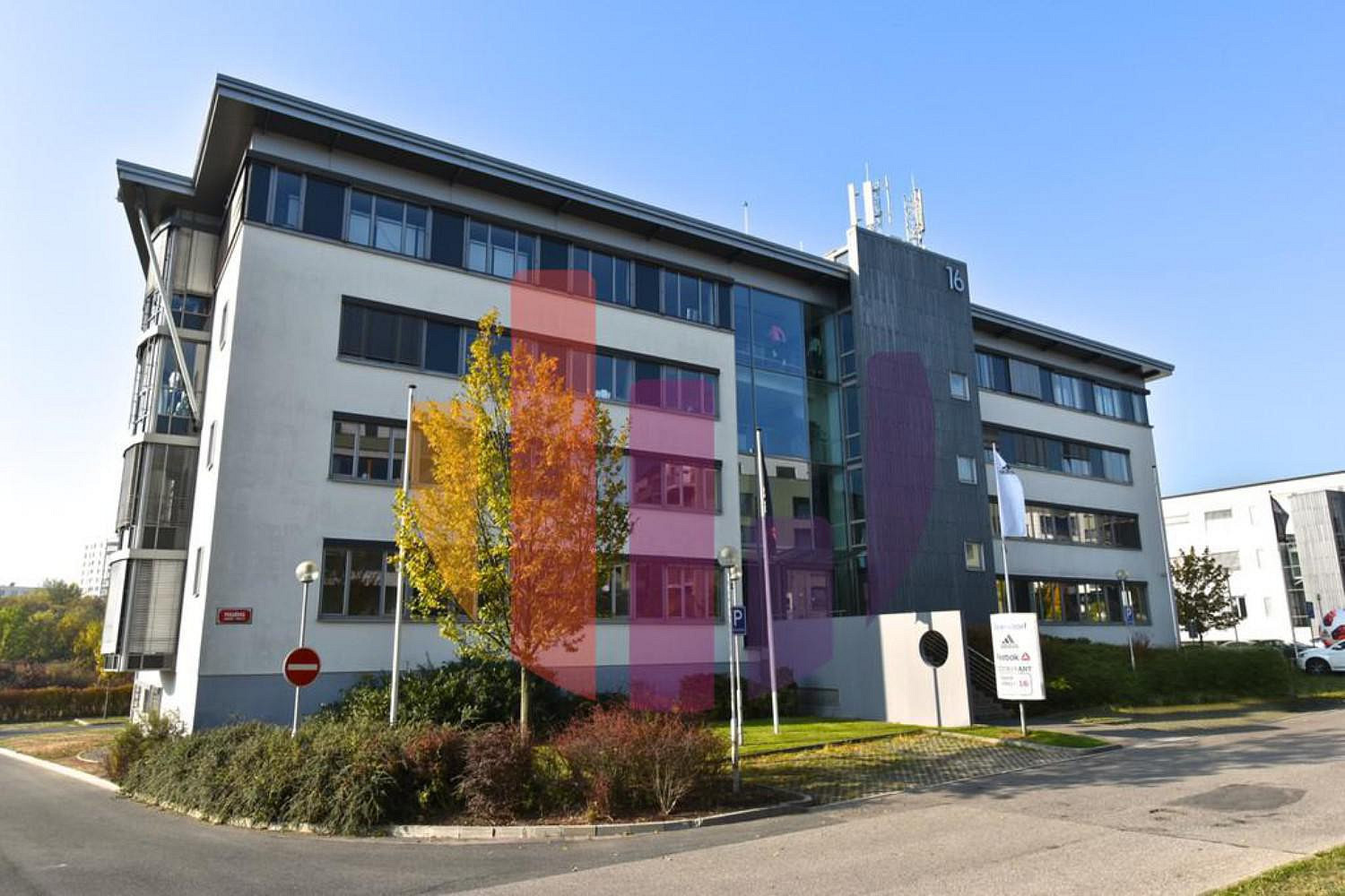 Pronájem obchodních prostor 285 m²