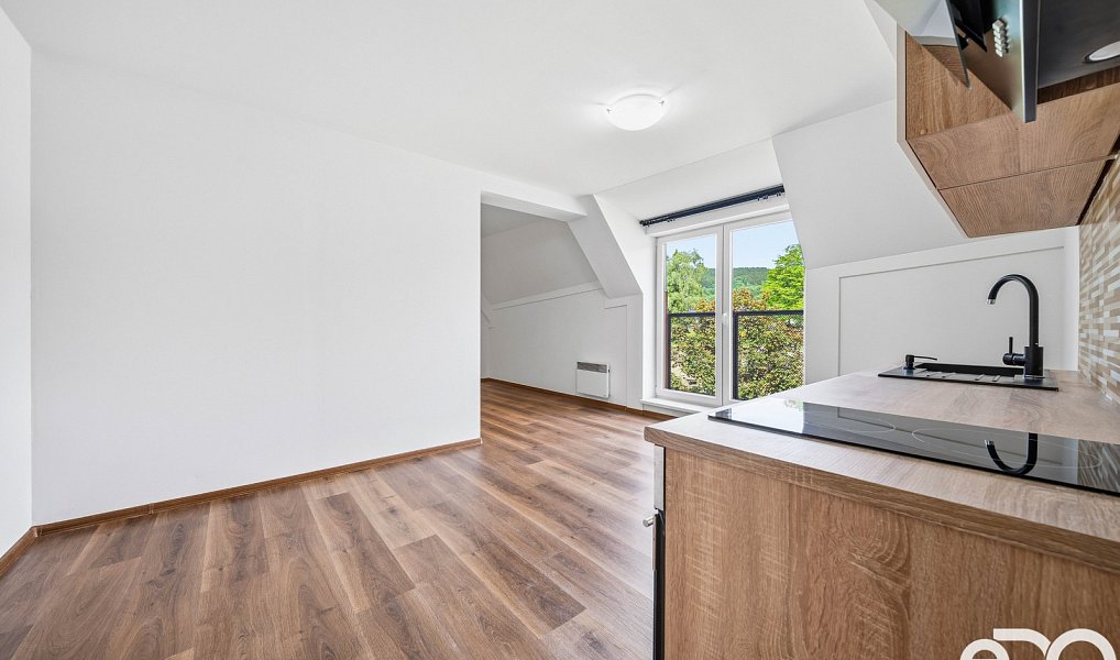 Prodej bytu 1+kk 41 m², Deštné v Orlických horách – náhled fotky 4