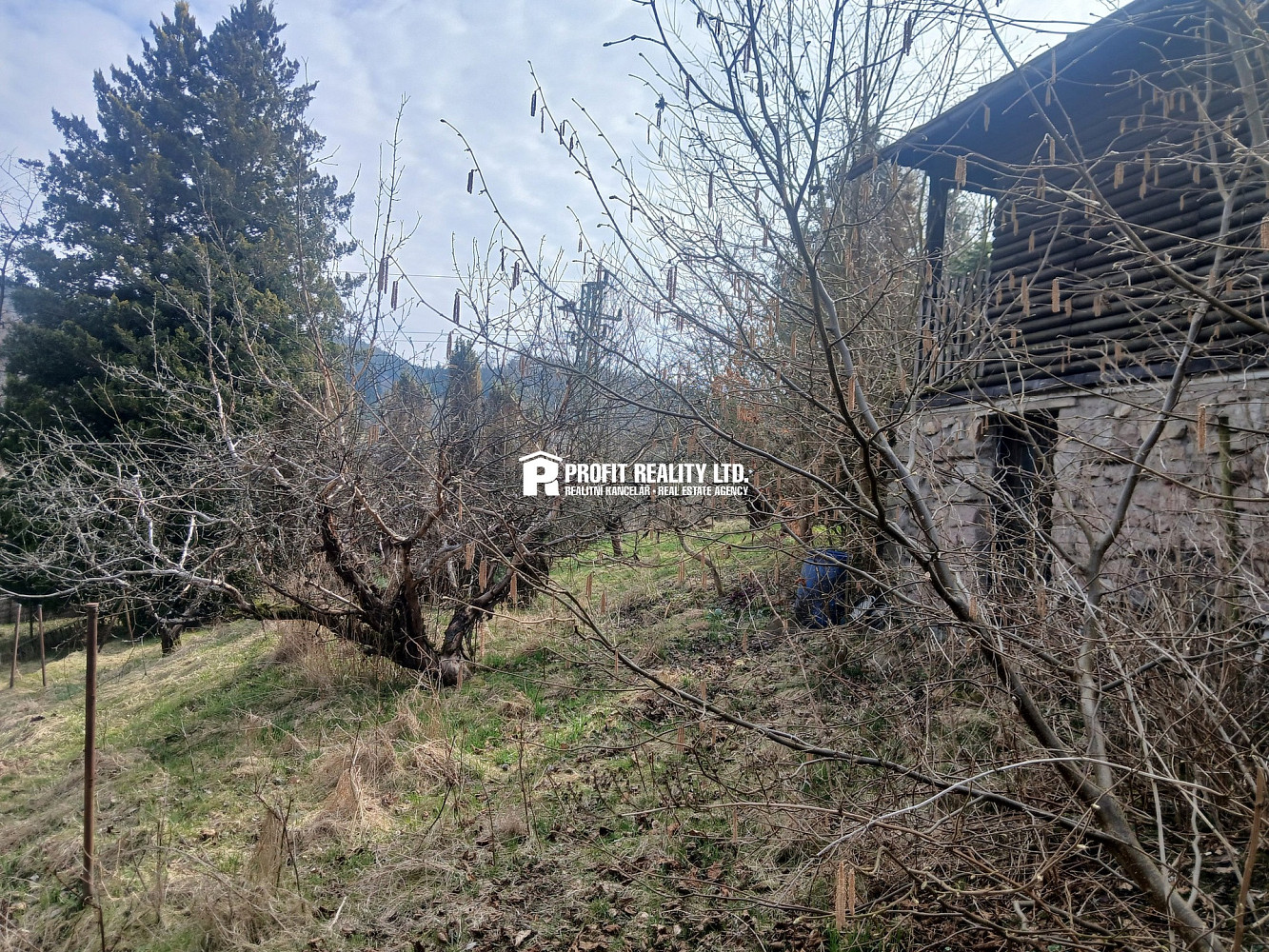 Prodej stavebního pozemku 973 m² – fotografie 3