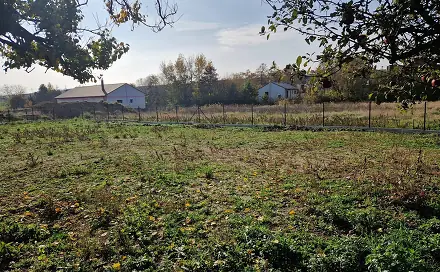 Ostatní