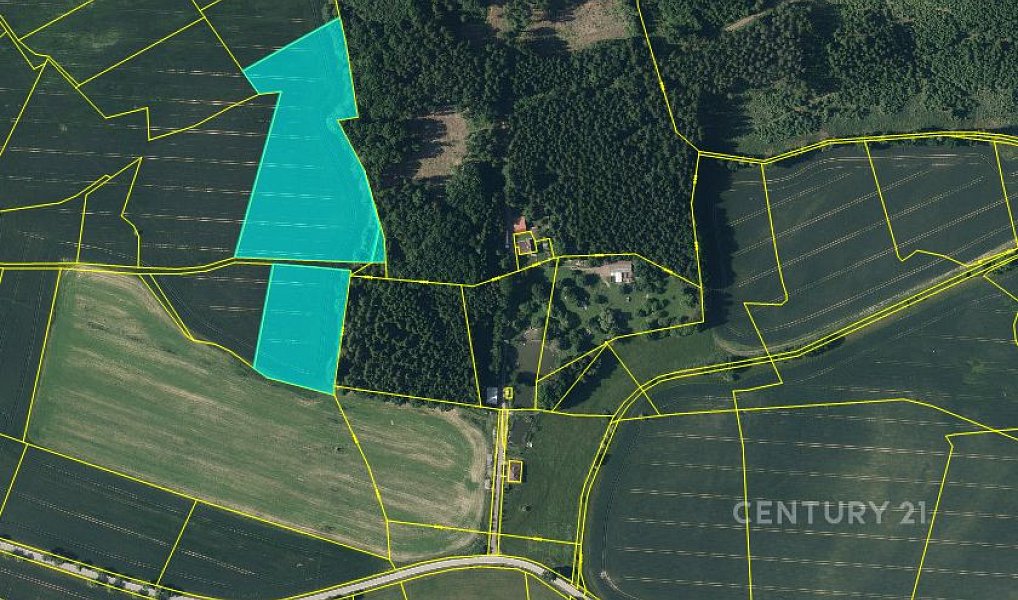 Prodej pole 40 119 m², Nová Včelnice – náhled fotky 12