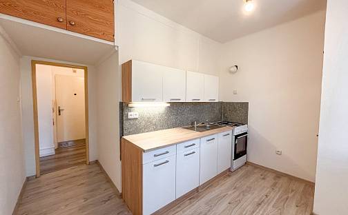 Pronájem bytu 2+1 44 m², Masarykova, Ústí nad Labem - Bukov