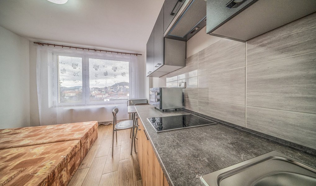 Pronájem bytu 1+kk 25 m², Ústí nad Labem – náhled fotky 4