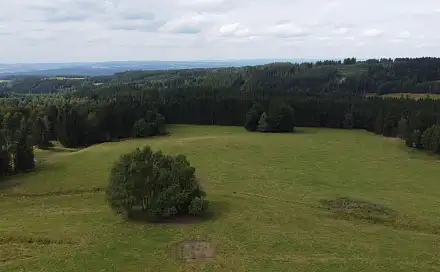 Prodej pole 6 044 m², Březová, okres Sokolov