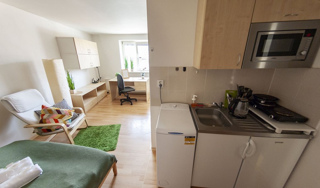 Pronájem bytu 1+kk 28 m², Brno – náhled fotky 17