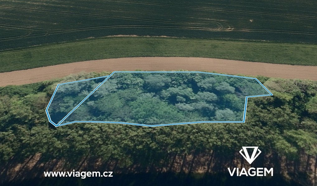 Prodej pole 2 277 m², Starý Jičín – náhled fotky 2