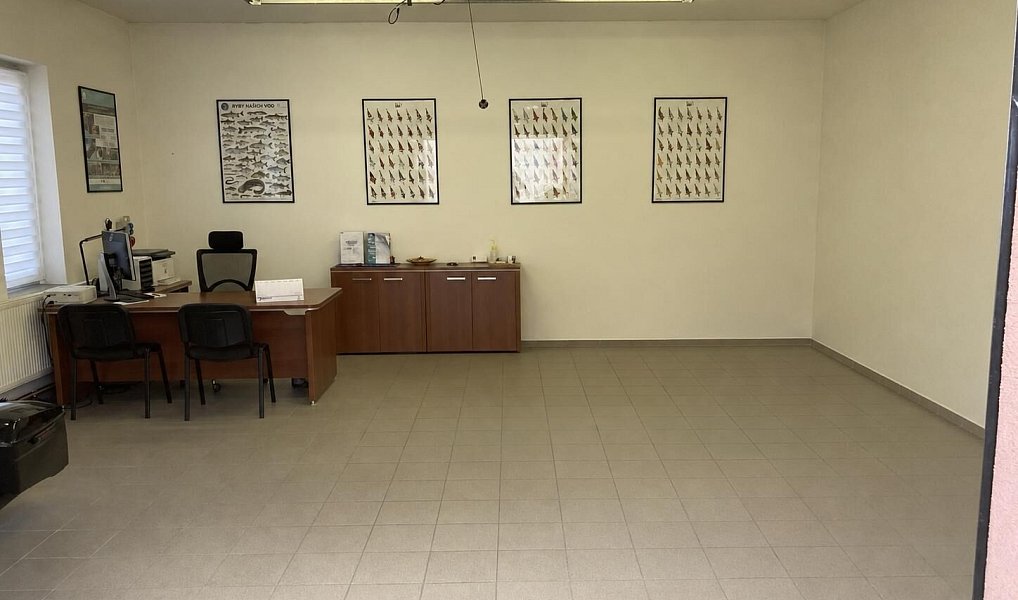 Prodej komerčního objektu (jiného typu) 344 m², Zaječice – náhled fotky 4