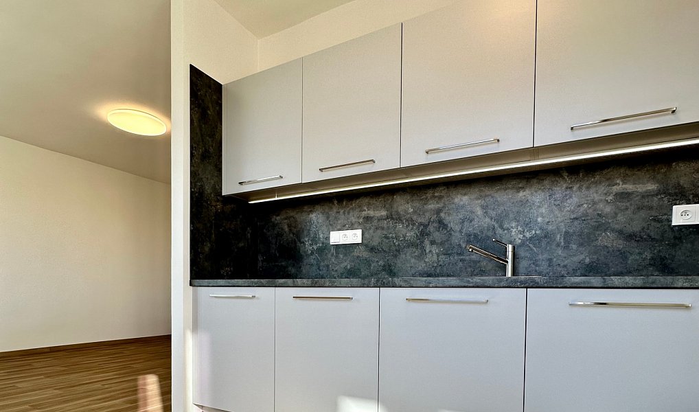 Pronájem bytu 2+1 56 m², Praha – náhled fotky 10