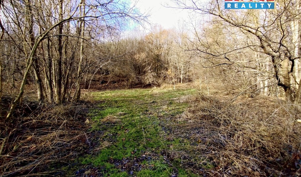 Pronájem louky 931 m², Slatina – náhled fotky 5