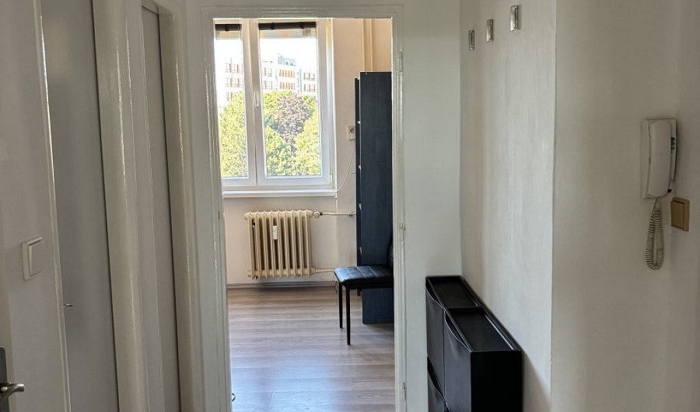 Pronájem bytu 2+1 55 m², Hradec Králové – náhled fotky 5