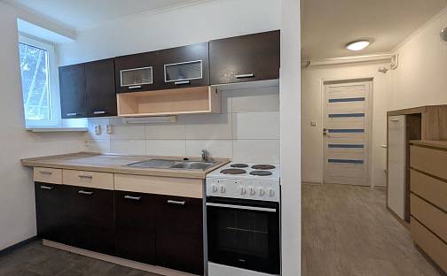 Pronájem bytu 1+1 40 m², Okružní, Meziboří, okres Most