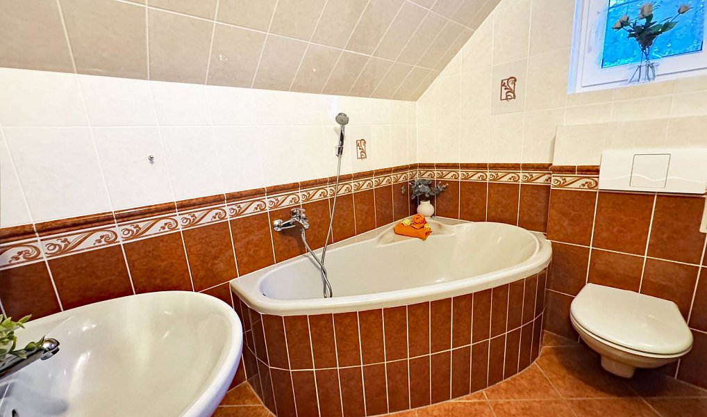 Prodej ubytovacího objektu 454 m², Kubova Huť – náhled fotky 25