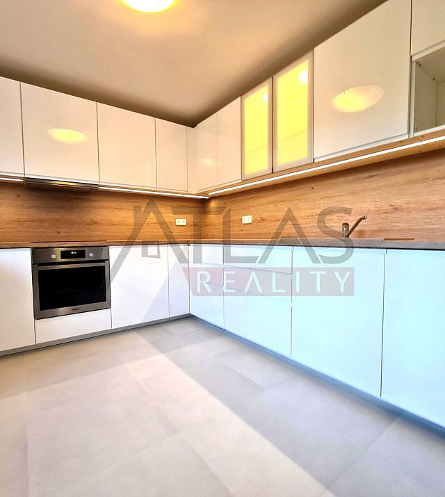 Pronájem domu 300 m² s pozemkem 750 m² – fotografie 3