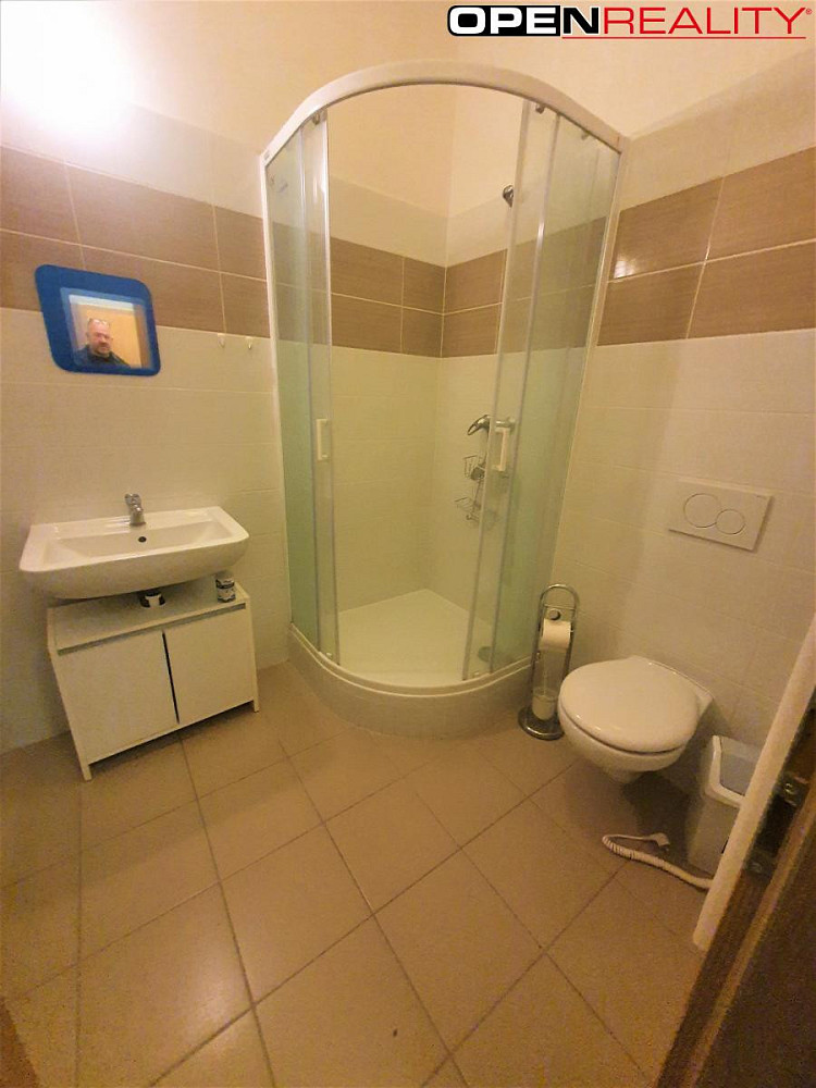 Pronájem bytu 1+1 33 m² – fotografie 3
