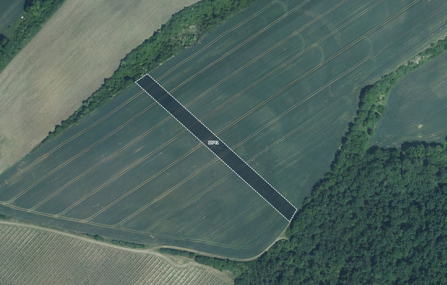Prodej pole 5 978 m²
