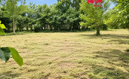 Prodej stavebního pozemku 1 115 m², Bor - Boječnice, okres Tachov